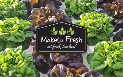 Why a professionally designed and unique logo is key to brand success