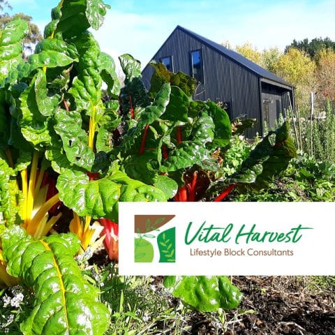 Vital Harvest